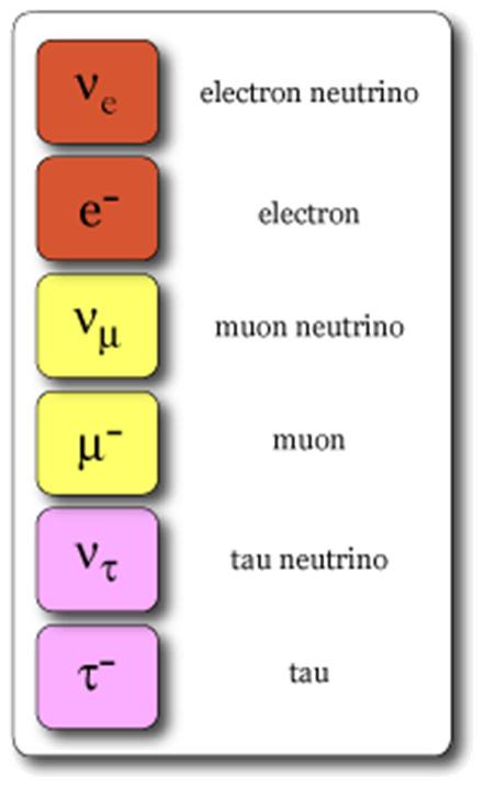 Riassumendo Ogni gusto di neutrino è