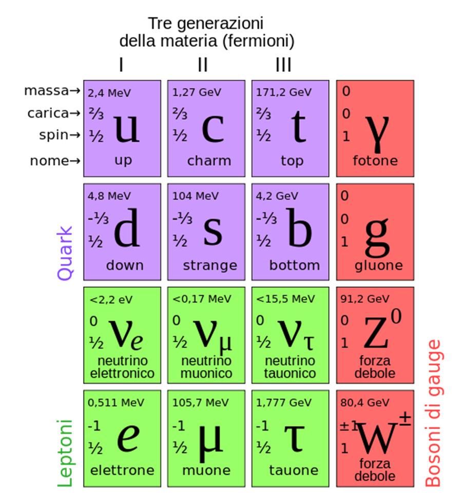 Particelle mediatrici 4E.