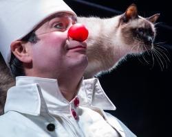 IO SONO UN CLOWN Con il Teatro dei Gatti di Mosca diretto da Yury e Dmitry Kuklaciov Dossier per la stampa Introduzione Il
