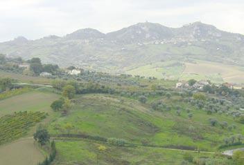 INTRODUZIONE La coltura dell olivo nella regione Emilia-Romagna è, in genere, diffusa negli areali di media e bassa collina.