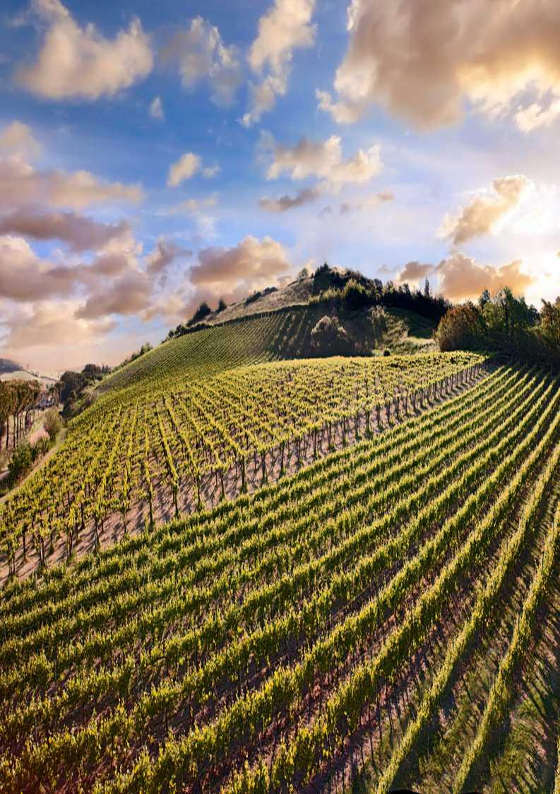 entusiasmo, sta dedicando al mondo dell agricoltura.