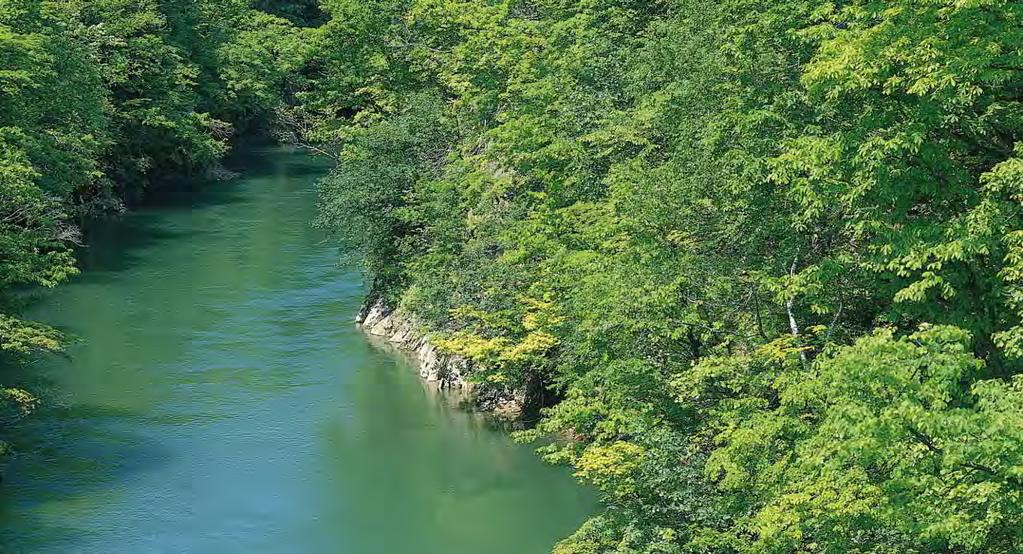 «Gli alberi delle foreste esultino davanti al Signore, poich egli viene a giudicare la terra» (1 Cronache 16:33) Maggio 2020 1 Ve 17 Do Dichiarazione di Seul 2 Sa 18 Lu 3 Do Cornelius Van Til 19 Ma 4