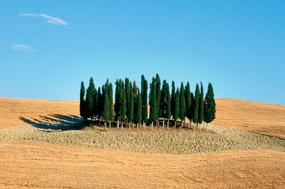 In quello che fu il cuore dell Etruria, i luoghi dove si avverte la presenza etrusca si rincorrono: ad Asciano, tra i paesaggi lunari delle Crete Senesi dove si trova la necropoli di Poggio Pinci, a