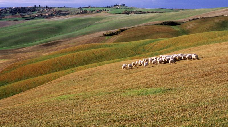 Un gioco, così è iniziata questa mia ricerca fotografica che mi ha appassionato, tanto da portarmi in luoghi straordinari con un unico obiettivo: sposare la forza rappresentativa della fotografia con