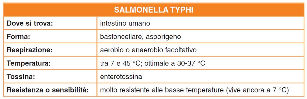 Tifo e paratifo A e B Alimenti coinvolti: