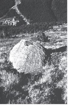 I massi incisi della valle del Pasquale Il recente rinvenimento di numerosi massi incisi lungo il versante meridionale del Monte Confinale sopra Santa Caterina Valfurva Dall area cacuminale del M.