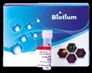 blot. Apparecchiature per l elettroforesi e biologia molecolare Labnet MultiGene Thermal Cyclers; ENDURO Gel Documentation Systems; ENDURO Electrophoresis; AccuSeal Semi Automated