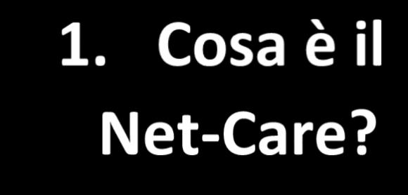 W Il progetto Net Care è finanziato dall Unione Europea, all interno dei programmi promossi dal Direzione Generale Giustizia e dei consumatori (REC-AG-2018/REC-RDAP- GBV-AG-2018) numero di accordo