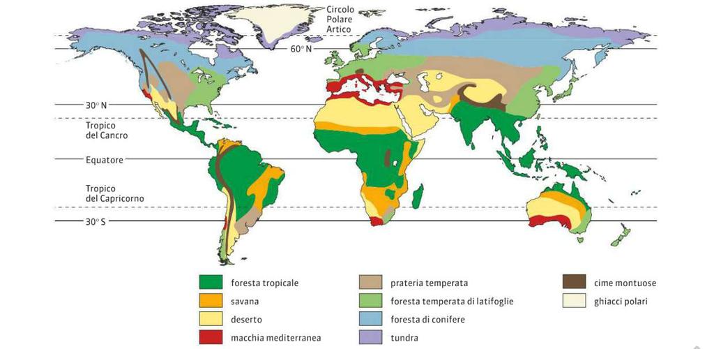 Biota e biomi Il biota è l insieme di tutte le forme di vita animali e vegetali che vivono in una determinata area geografica (es.