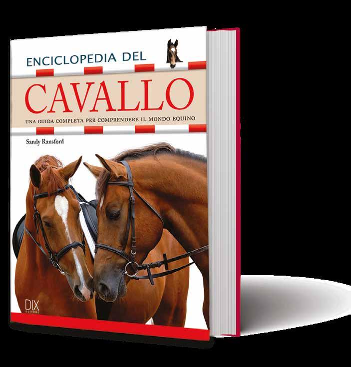 889587003 SANDY RANSFORD ENCICLOPEDIA DEL CAVALLO 21,5 X 27,5 CM RILEGATO CON SOVRACCOPERTA SOVRACCOPERTA LUCIDA 224 10,00 RISTAMPA DIX R315 VARIA ILLUSTRATA 9 788895 870038 CONTENUTO Questo volume