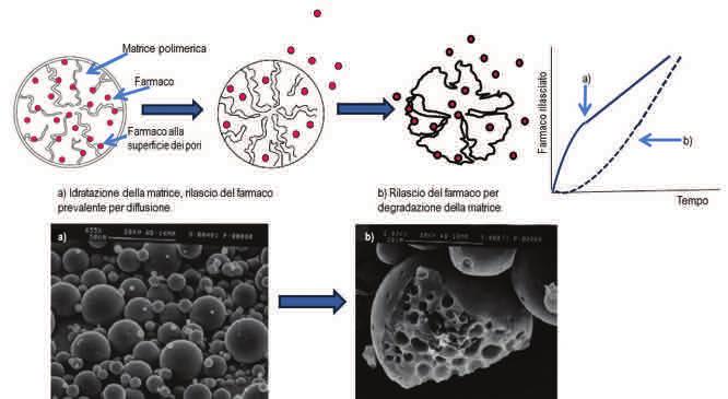 Nome commerciale Produttore Polimero Principio attivo Indicazione terapeutica Enantone 3,75, 11,75 (Lupron Depot in ) Tab.