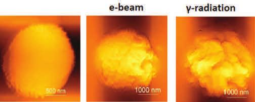 i sistemi microparticellari costituiti da una membrana polimerica all interno della quale è presente il principio attivo.