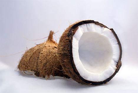 Materiali isolanti di origine vegetale FIBRA DI COCCO La fibra di cocco, originaria delle regioni tropicali dell Oriente, è stata utilizzata fin dai tempi per la realizzazione di stuoie e corde e