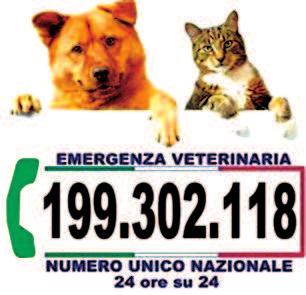 Melorio - 0823 891612 Rifiuti ingombranti (Bellona) 800 642568 Vitulazio Polizia Locale 0823-967528/29 Farmacie Bellona: Chirico P.