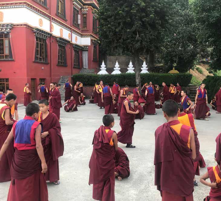 MONASTERO BÖNPO TRITEN NORBUTSE Codice progetto: 0502 Descrizione del progetto e località di intervento: sostegno a distanza di monaci tibetani presso il Monastero Bönpo Triten Norbutse a Kathmandu,