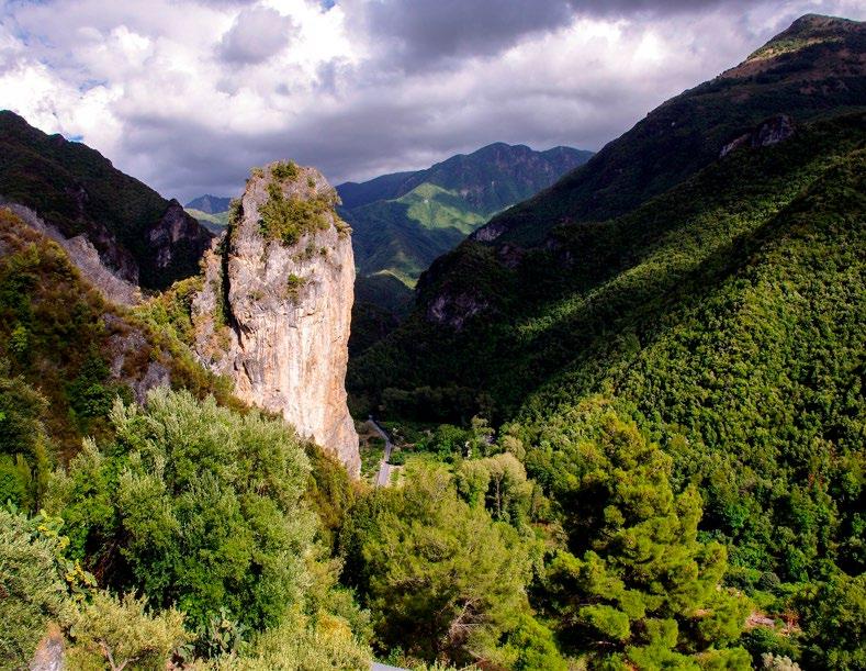 CONGRESSO REGIONALE SIN CALABRIA L