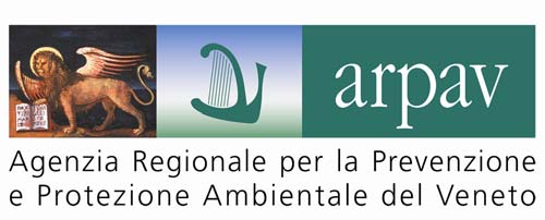 LINEE GUIDA PER IL MONITORAGGIO ATTIVO DEI GAS INTERSTIZIALI DEL TERRENO (SOIL GAS) Dipartimento Provinciale di Venezia (*) Redazione Servizio Rischio industriale e Bonifiche dott.