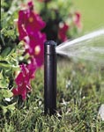 Gli irrigatori statici vengono usati normalmente per irrigare superfici più piccole.