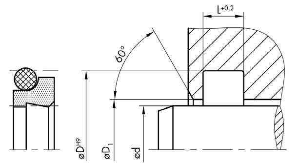 AD 60 Famiglia prodotto Raschiatore Forma costruttiva D doppio effetto Numero profilo 60 Materiale PTFE 00 9807 raschiatore Materiale NBR 70 0100 O-Ring Temperatura ( C): -30 +100 Velocità di