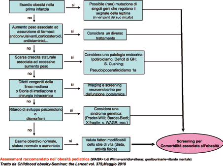 9. Obesità pediatrica L obesità ha un elevata prevalenza nel bambino e ha mostrato un costante incremento negli ultimi decenni, nonostante qualche recente segnale di stabilizzazione in vari paesi