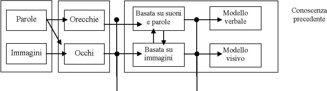 PRESENTAZIONE MEMORIA MEMORIA A MULTIMEDIALE SENSORIALE MEMORIA DI LAVORO LUNGO TERMINE SELEZIONE PAROLE ORGANIZZAZIONE E IMMAGINI PAROLE E IMMAGINI INTEGRAZIONE Fig. 2.D.: La teoria cognitiva dell apprendimento multimediale (tratto e riadattato da Mayer, 2005b).