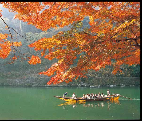 Kyoto è stata la capitale del Giappone per più di mille anni e in quel periodo ha dato luogo alle massime espressioni dell arte, della cultura, della religione e delle idee.