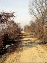 Il percorso ciclabile dell Antica Strada Regina deriva il proprio toponimo da quello di una strada romana, così denominata, che dal Castrum Cremonensis pare si collegasse con Milano e di cui alcune