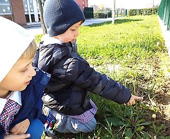 C'erano tanti alberi c'erano i corbezzoli e anche un mulino che si muoveva con il vento. C'erano le piante carnivore io le ho toccate!