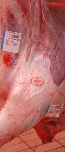 21. Macelleria: etichettatura carni bovine Dopo l emergenza mucca pazza, la rintracciabilità delle carni bovine è diventato un requisito essenziale per la corretta informazione verso i consumatori.