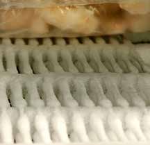 frigoriferi e congelatori Una manutenzione regolare garantisce un corretto funzionamento degli apparecchi ed evita la