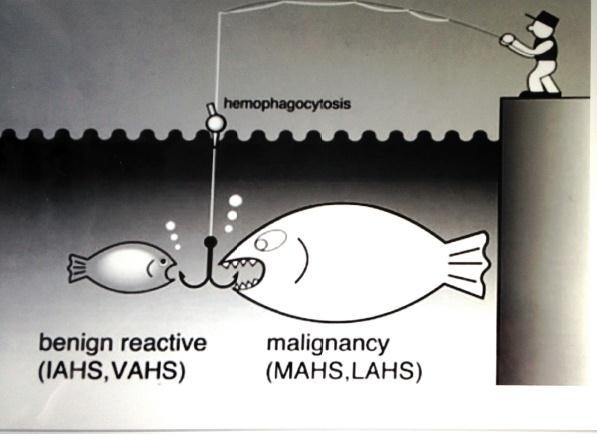 ASPETTI TERAPEUTICI DELLA SINDROME EMOFAGOCITICA: IAHS: Infection associated hemophagocytic syndrome VAHS: Virus-associated