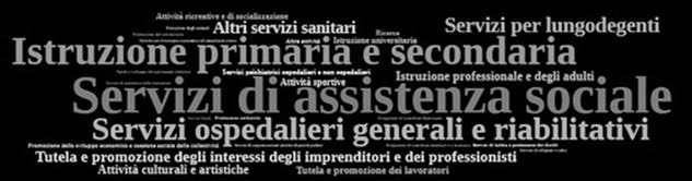 IL NON PROFIT IN RETE utilità, che si avvalgono di personale dipendente e/o collaboratori retribuiti, e istituzioni invece che svolgono attività ricreative, sportive, di socializzazione da un lato e