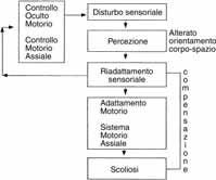 53. La riabilitazione del paziente affetto da scoliosi idiopatica 2787 to accettabile: in pratica si tratta di definire delle soglie di normalità.