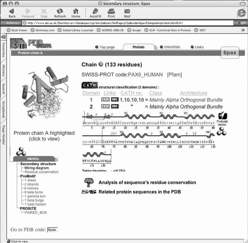 In questa pagina ci sono informazioni sulla struttura secondaria della proteina ed e possible vedere l animazione della sua struttura tridimensionale facendo click sulla figura in alto a sinistra.