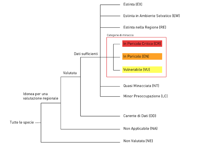 14 LISTA ROSSA DEI VERTEBRATI ITALIANI 2.1 Categorie e criteri IUCN La valutazione del rischio di estinzione è basata sulle Categorie e Criteri della Red List IUCN versione 3.