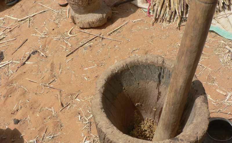 Coltivare nel Sahel si può Gli orti delle donne del progetto Il