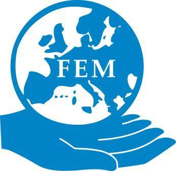 FEM-IT-T/N863 FEDERATION EUROPEENNE DE LA MANUTENTION Gruppo di prodotto Carrelli industriali FEM Breve guida all identificazione dei carrelli industriali non conformi 05.