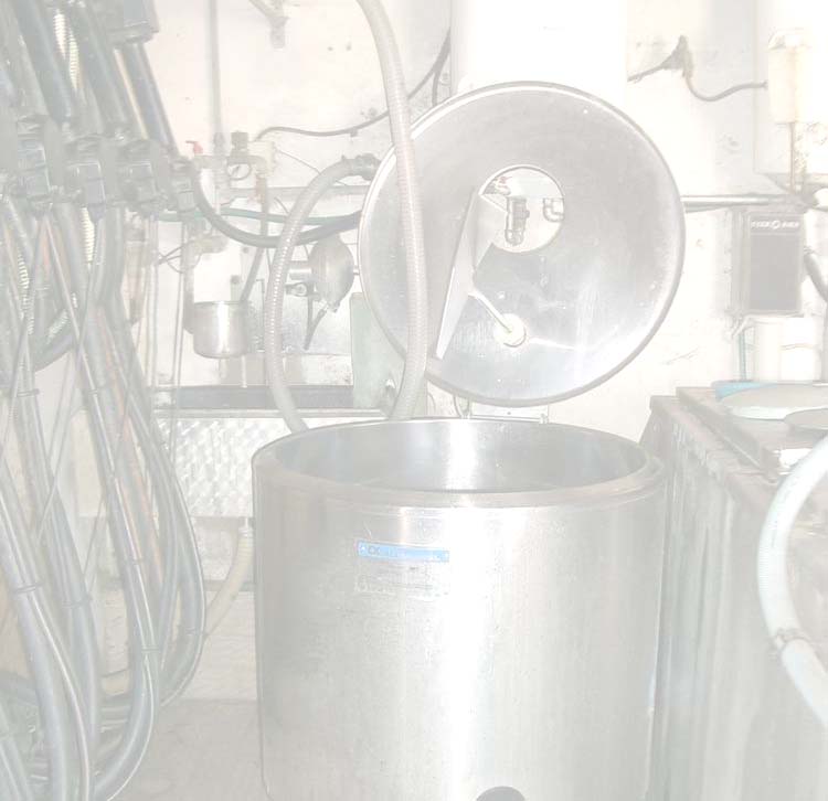 Igiene impianto di mungitura e frigorifero in 52 aziende infette Valutazione igiene di impianto di mungitura e frigorifero Latte contaminato % Latte non contaminato % Ottima (MG < 50.