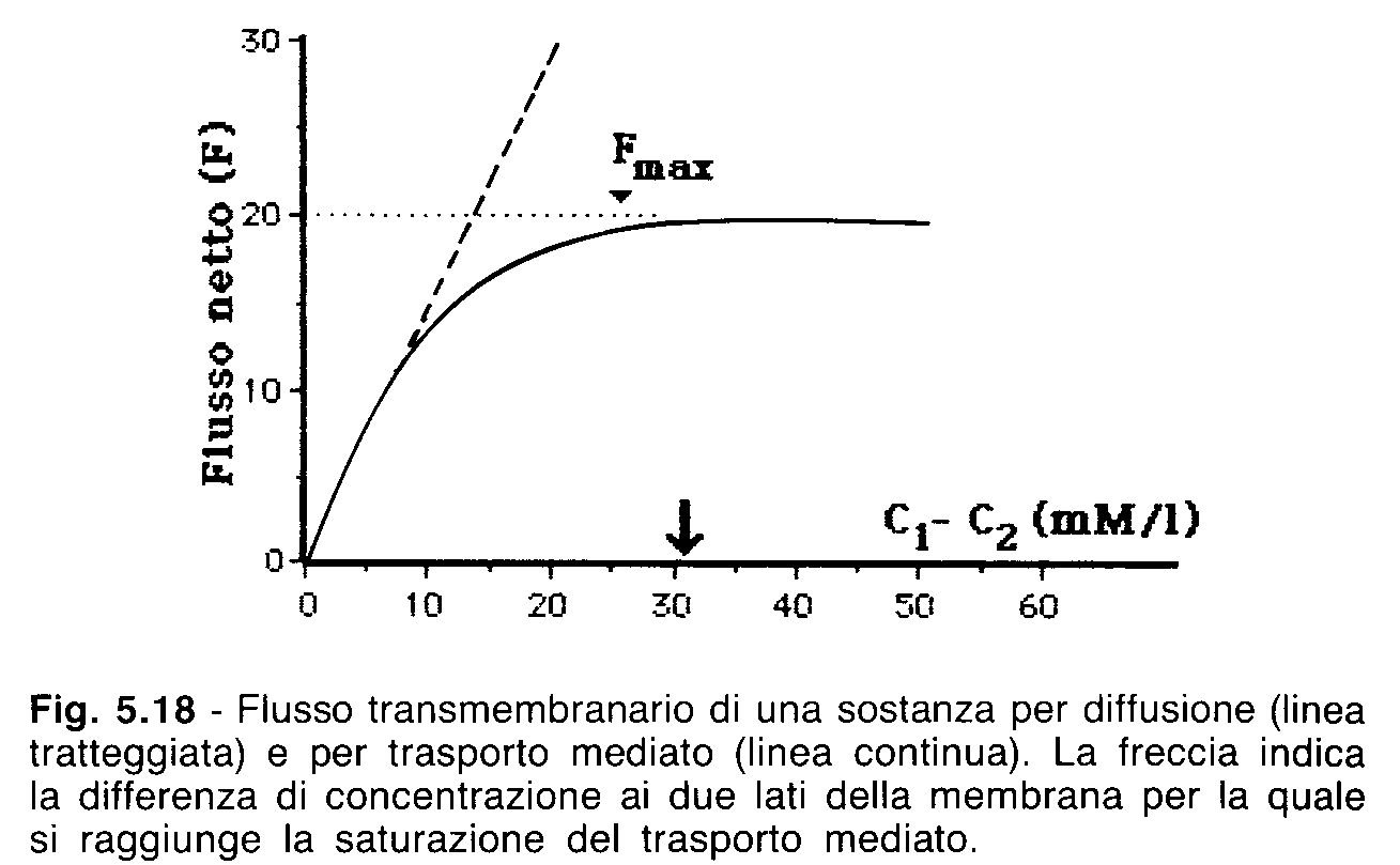 trasporti