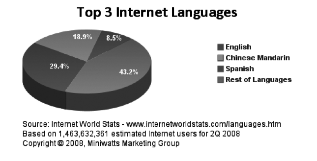 In sintesi il web è multilingue, sia dal punto di vista dei contenuti sia dal punto di vista degli utenti.