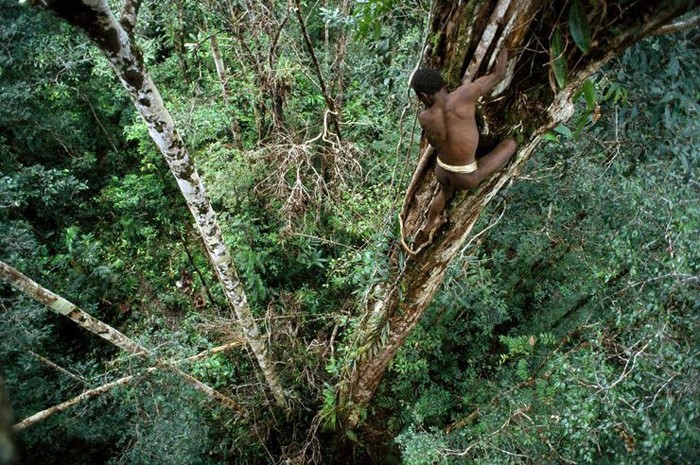 I Korowai, uomini-albero Figura 11: I Korowai (Indonesia) (1) I Korowai (così come altre tribù, tipo quella dei Kombai) vivono nella regione di Irian Jaya, nella zona occidentale della Nuova Guinea