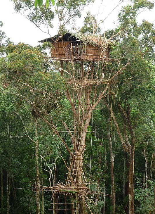 Per la costruzione solitamente l albero viene capitozzato a metà altezza, così da utilizzare come supporto solo il tronco.