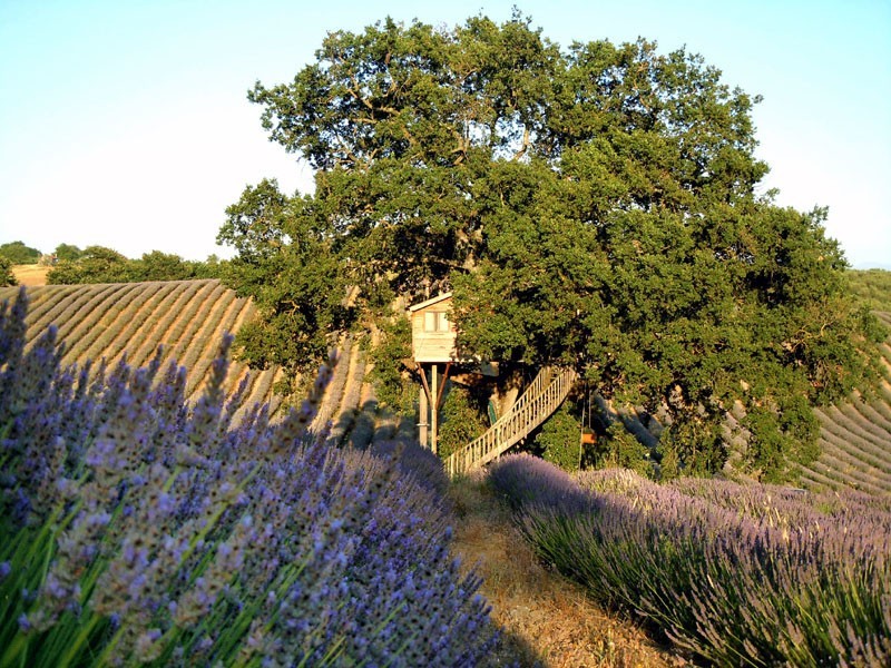 La scelta varia da semplici rifugi nel verde a veri e propri hotel di lusso. Figura 24: Agriturismo La Piantata (Lazio, Italia) (2) Non è necessario andare molto lontano per rintracciare un esempio.