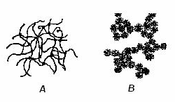 del cluster in crescita, portando alla formazione di particelle sferiche e di un network fortemente reticolato.