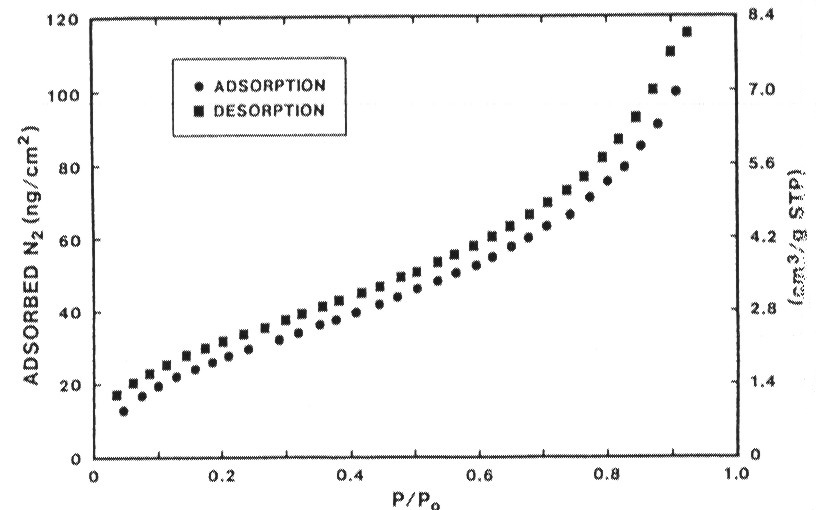 cm 2 / cm 2 ) eguaglia l area geometrica della superficie esterna del film, come previsto per un film non poroso.