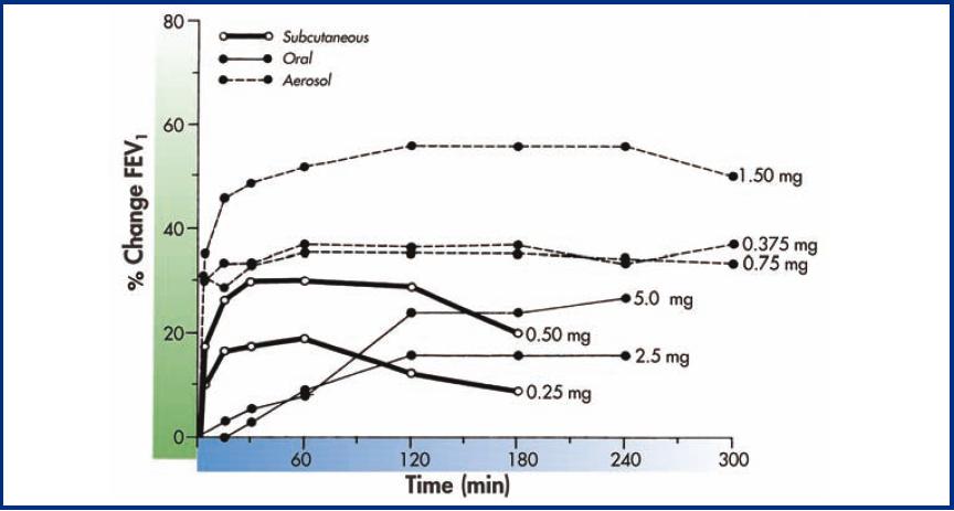 Figura 3. Cambiamenti nel FEV 1 per tre differenti vie di somministrazione con terbutalina.