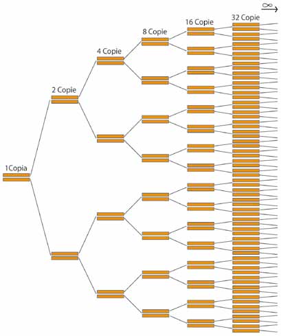 COME SI PRODUCONO LE PIANTE GM Figura 29 La PCR è un processo ciclico nel quale il numero delle molecole di DNA raddoppia ad ogni ciclo consentendo così di ottenere un gran numero di copie di un DNA