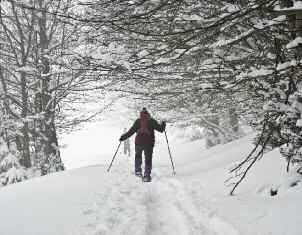 La passeggiata (a piedi o in bici) verso il borgo abbandonato delle pagliare inizia dalla bella chiesa di San Pietro ad Cryptis, a valle del paese.