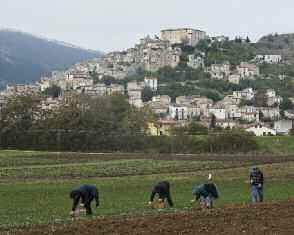 24 PARCO NAZIONALE DEL GRAN SASSO E MONTI DELLA LAGA: da non perdere NAVELLI E IL SUO ZAFFERANO Navelli è un bel borgo medievale, arroccato su un rilievo che domina l omonimo altopiano, noto da