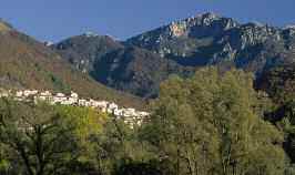 vegetali, molte delle quali un tempo presenti su tutto l Appennino trovano oggi in Abruzzo gli ultimi rifugi naturali, evitando così il rischio di estinzione.